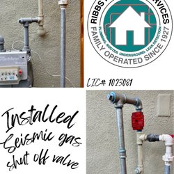 Ribbs Plumbing Services