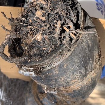 Accurate Underground & Grading - Root compromised septic connection - General Contractors Near Me - Ramona, California Accurate Underground & Grading - Root compromised septic connection - General Contractors Near Me - Ramona, California
