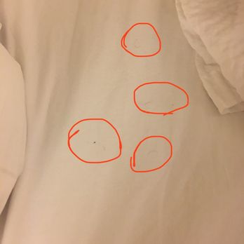 Townplace Suites Boynton Beach - Hairs all over the bed, pillows, sheets, quilt. - Hotels Near Me - Boynton Beach, Florida Townplace Suites Boynton Beach - Hairs all over the bed, pillows, sheets, quilt. - Hotels Near Me - Boynton Beach, Florida