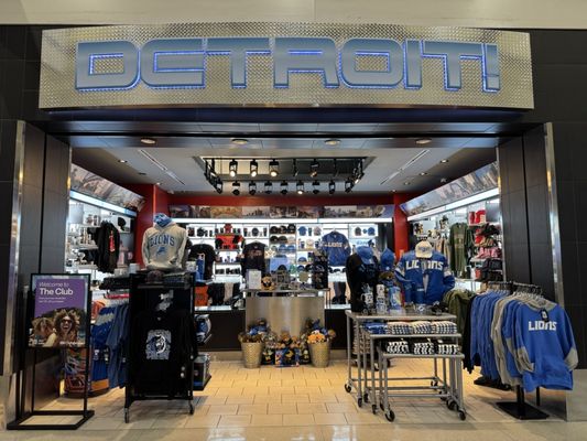 Detroit Metropolitan Wayne County Airport by null