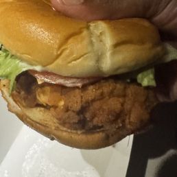 Spicy Chicken Sandwhich Spicy Chicken Sandwhich
