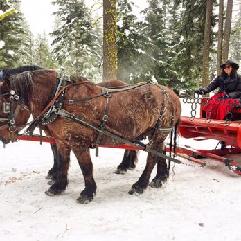Three Peaks Outfitters - Horseback Riding Near Me - Cle Elum, Washington Three Peaks Outfitters - Horseback Riding Near Me - Cle Elum, Washington