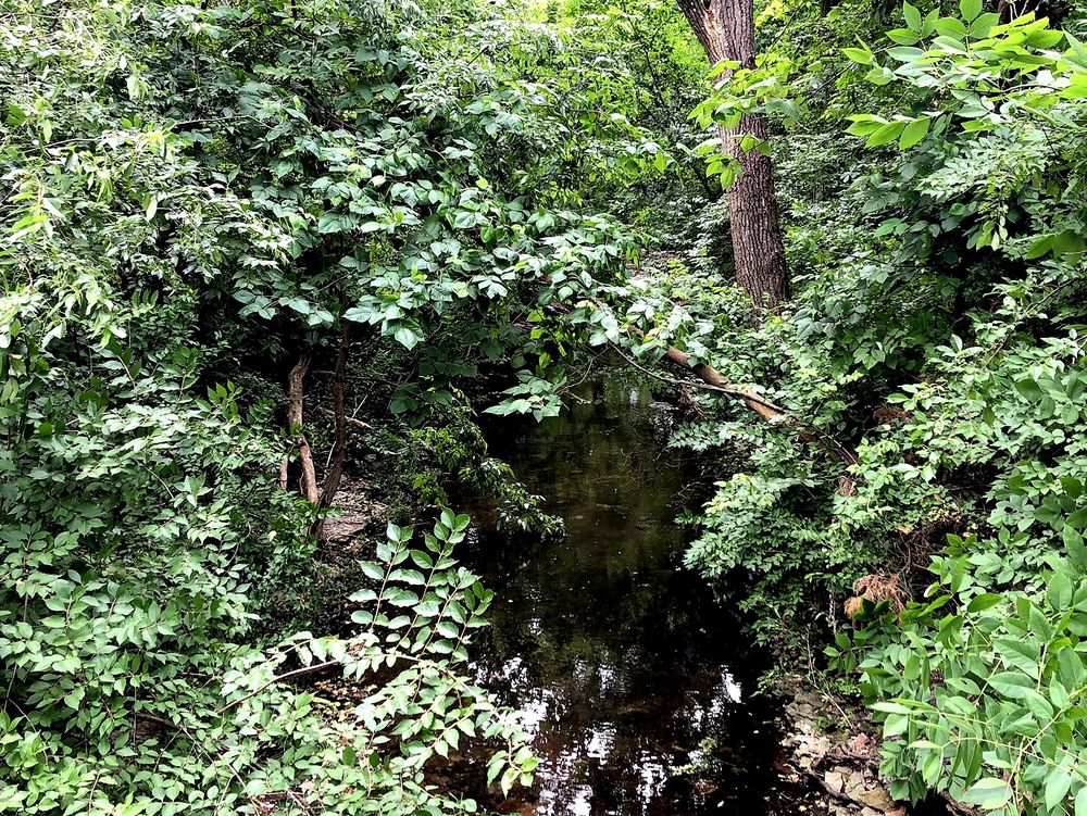 PINEHURST ESTATES PARK 8111 W 98th St, Overland Park, Kansas Parks