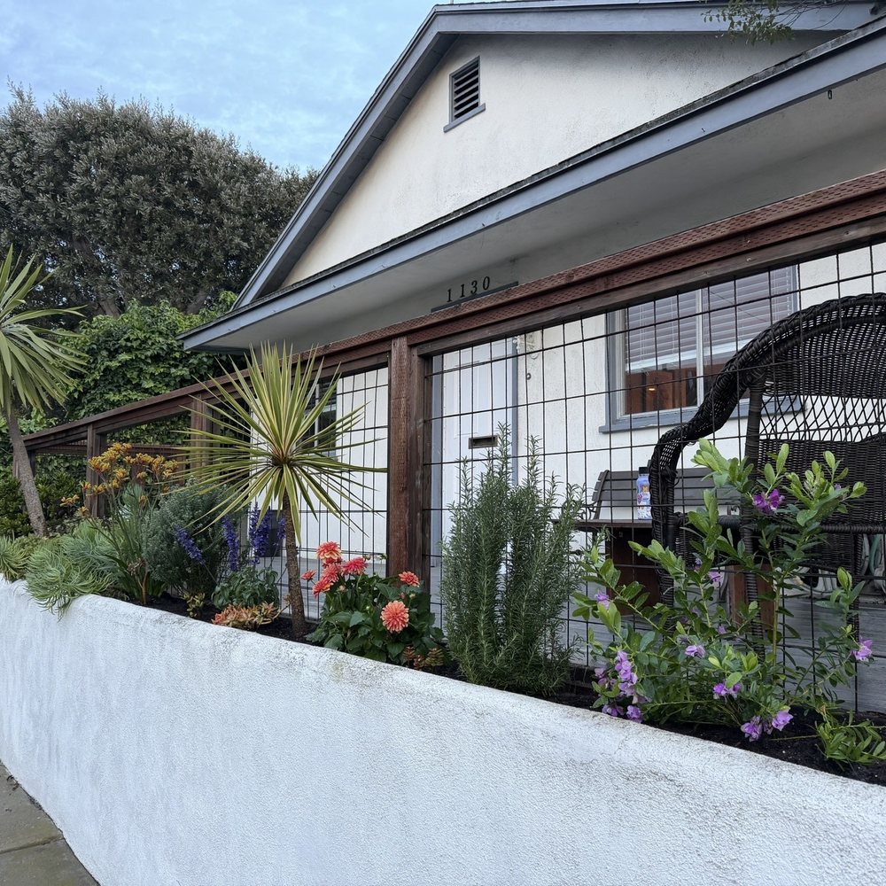Lucky Plants - My garden AFTER photo #1: - Nurseries & Gardening Near Me - Hermosa Beach, California Lucky Plants - My garden AFTER photo #1: - Nurseries & Gardening Near Me - Hermosa Beach, California