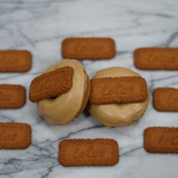 EBGAINS - Protein Biscoff Donuts #protein #donuts