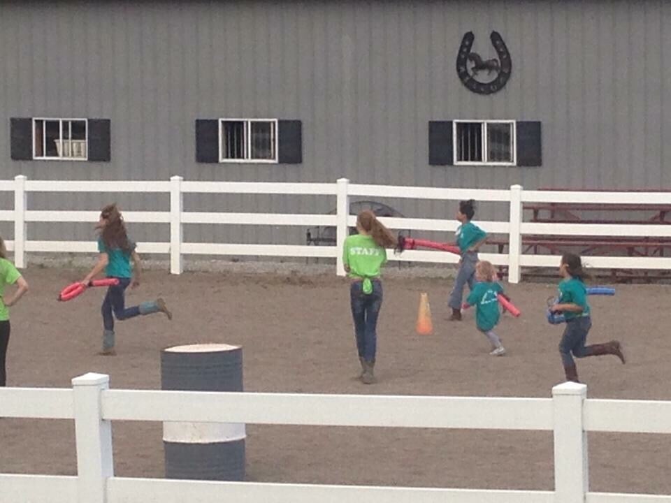 Morgan Valley Farm - equestrian in Tecumseh, MI