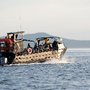 Photo of Bellingham Whale Watching by Outer Island Expeditions