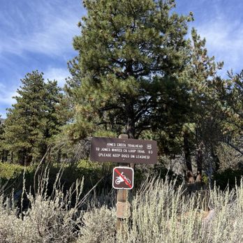 Galena Creek Visitor Center - 9/7/24 FYI - Visitor Centers Near Me - Reno, Nevada Galena Creek Visitor Center - 9/7/24 FYI - Visitor Centers Near Me - Reno, Nevada