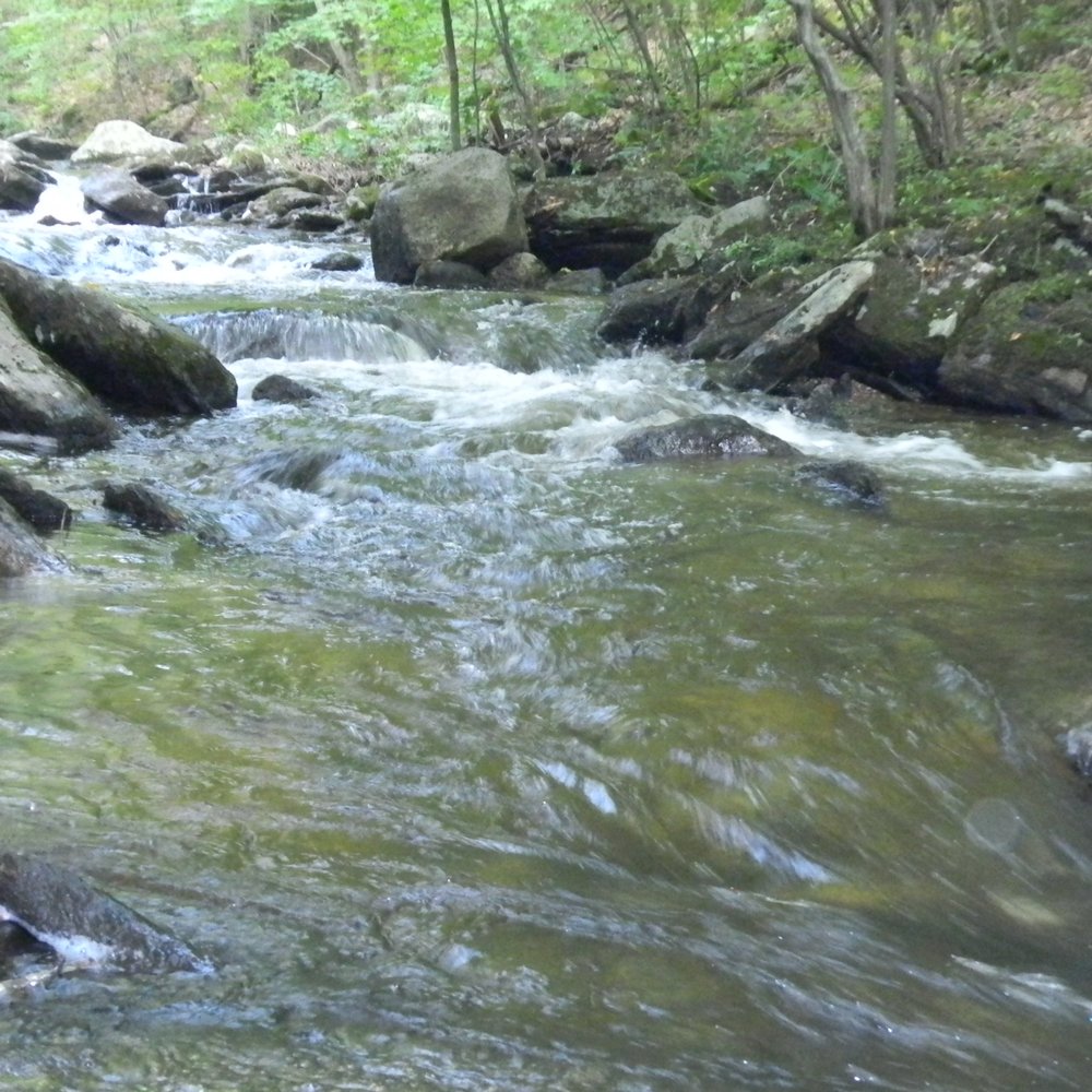 Macedonia Brook State Park - Parks Near Me - Kent, Connecticut