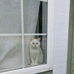 Rupurrrt my love Rupurrrt my love