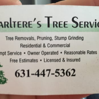 Quarltere's Landscape - Tree Services Near Me - East Patchogue, New York Quarltere's Landscape - Tree Services Near Me - East Patchogue, New York