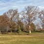 Fairfax Memorial Park