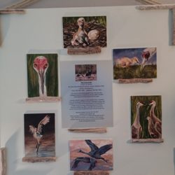 Sanctuary Holistic Spa
