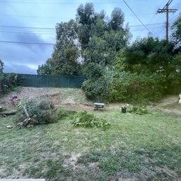 Before - weedy yard Before - weedy yard