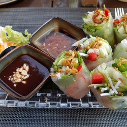 Hoa Thoa - Fresh Rolls mit Garnelen und Hähnchen Kombi oder vegetarisch