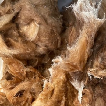 Camping World - North Charleston - moldy insulation - RV Dealers Near Me - North Charleston, South Carolina