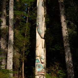 Sitka Tundra Tours