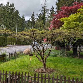 Sharp Tree Removal - Tree Services Near Me Sharp Tree Removal - Tree Services Near Me