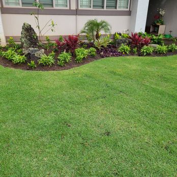 A & K Landscape Services - New sod - Tree Services Near Me