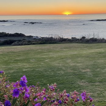 Little River Inn - Little River Inn, Mendocino, CA - November 6, 2024 - view from Room 116 - Hotels Near Me - Little River, California Little River Inn - Little River Inn, Mendocino, CA - November 6, 2024 - view from Room 116 - Hotels Near Me - Little River, California
