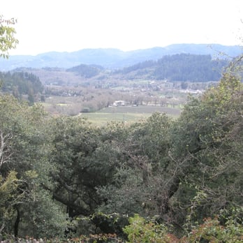 Rombauer Vineyards - View from deck outside tasting room - Wineries Near Me - St. Helena, California
