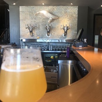 Flora Hall Brewing - Single hop pale ale - Breweries Near Me - Ottawa, Ontario