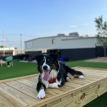 Tucker’s Tap Yard - Dog Parks Near Me - Winston-Salem, North Carolina Tucker’s Tap Yard - Dog Parks Near Me - Winston-Salem, North Carolina