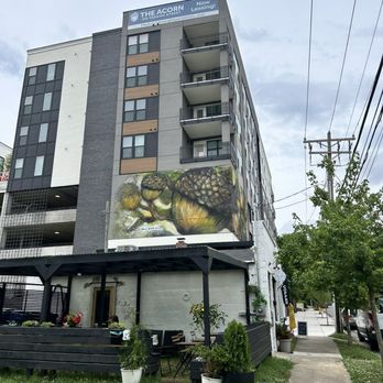 Little Native Coffee - New adorable coffee shop with outdoor patio in downtown Raleigh! - Coffee & Tea Near Me - Raleigh, North Carolina