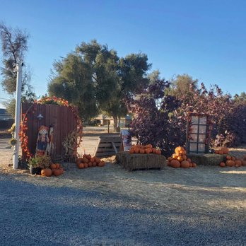 Sunshine’s Farm - Fruits & Veggies Near Me - Fresno, California Sunshine’s Farm - Fruits & Veggies Near Me - Fresno, California