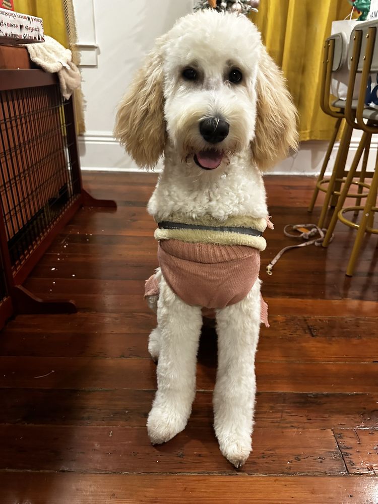 ZEUS’ PLACE DOWNTOWN Updated October 2024 715 O'Keefe Ave, New