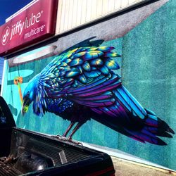 Taking the Bait mural - Taking the bait