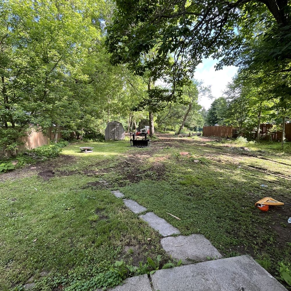 Black River Tree Removal - During/after - Tree Services Near Me