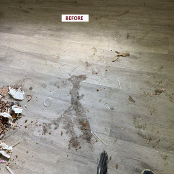 Clean Havens Services  - Before - Home Cleaning Near Me