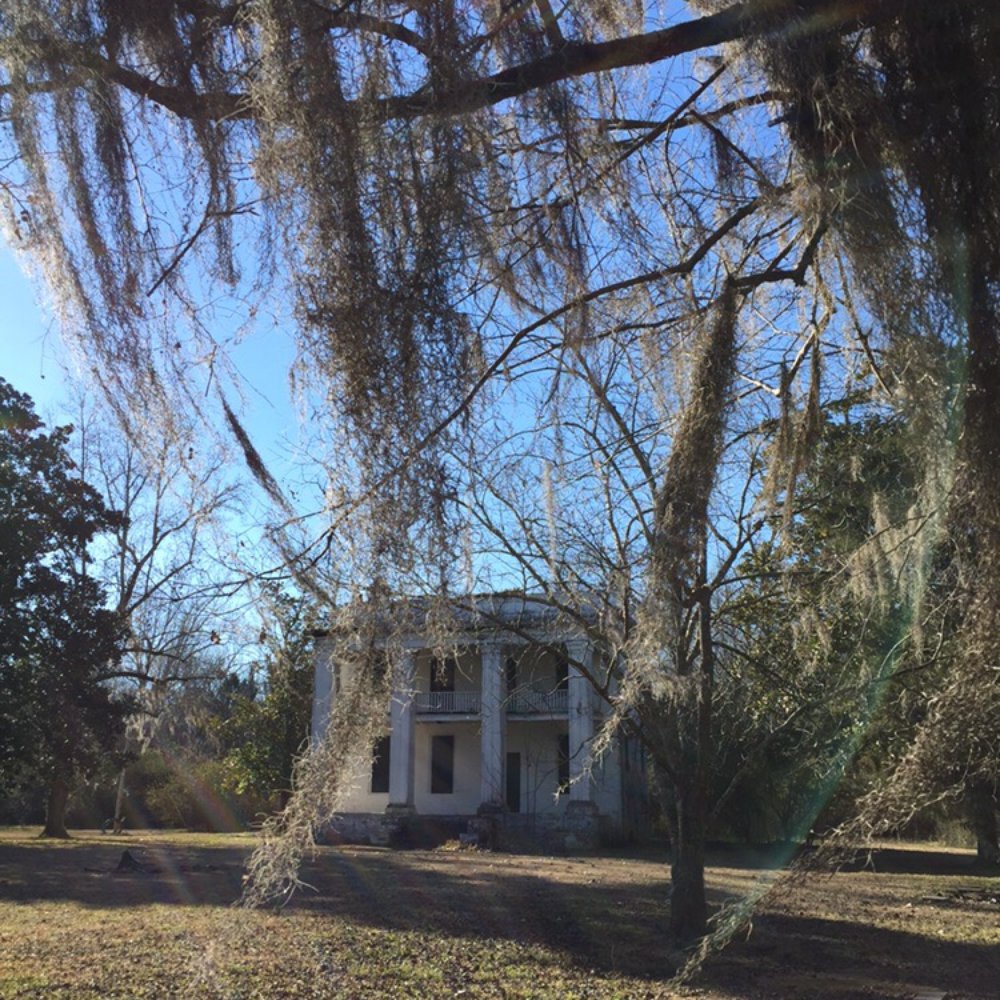 Old Cahawba Archaeological Park - Landmarks & Historical Buildings Near Me - Orrville, Alabama