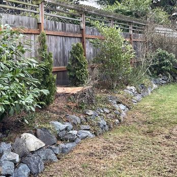 MVP Tree Services - Really a great crew. - Tree Services Near Me