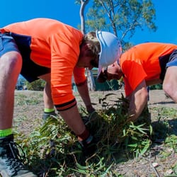 Mr Trees - We leave your yard clean and tidy when we leave.