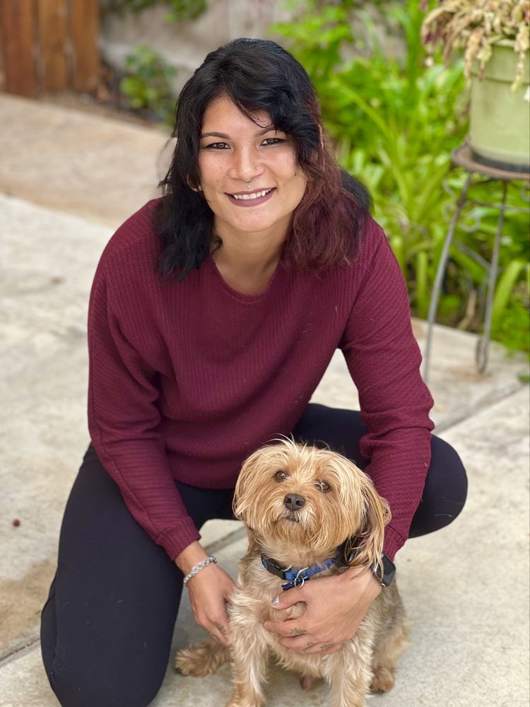 Paw Pact - pet boarding facility in Seattle, WA