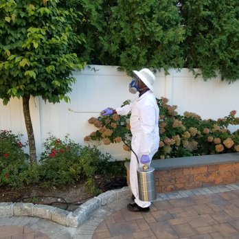 Dr. Buggz Pest Control - Mosquito Treatment in Long Island backyard. - Pest Control Near Me - Brooklyn, New York