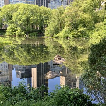 The Pond at Central Park - Beautiful photo opportunities 05/15/21 - Lakes Near Me - New York, New York The Pond at Central Park - Beautiful photo opportunities 05/15/21 - Lakes Near Me - New York, New York