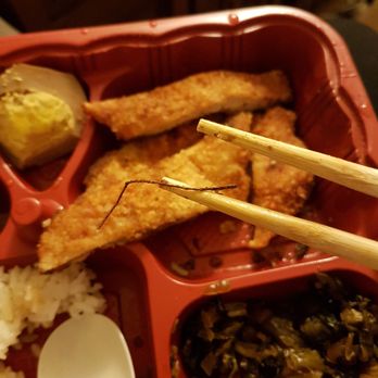 Tapioca Express - I bought chicken steak with rice home. I found this in there. It looks like cockroach leg. And the broccoli was old. I couldn't eat it. - Coffee & Tea Near Me - Union City, California