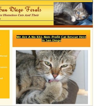 Help San Diego Ferals - Pet Services Near Me - Imperial Beach, California Help San Diego Ferals - Pet Services Near Me - Imperial Beach, California