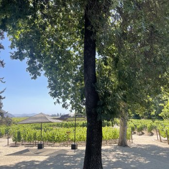 Concha y Toro - Wineries Near Me - Pirque, RM Concha y Toro - Wineries Near Me - Pirque, RM