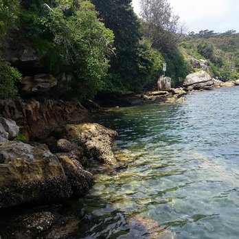 Jump Rock - Local Flavor Near Me - Manly, NSW