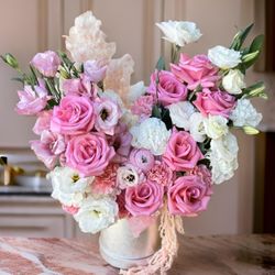 Hollywood Blooms