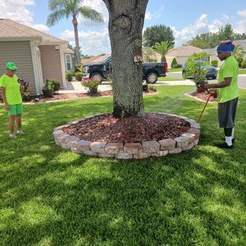 D Cox Landscaping - Lawn - Lawn Services Near Me - Ocala, Florida D Cox Landscaping - Lawn - Lawn Services Near Me - Ocala, Florida