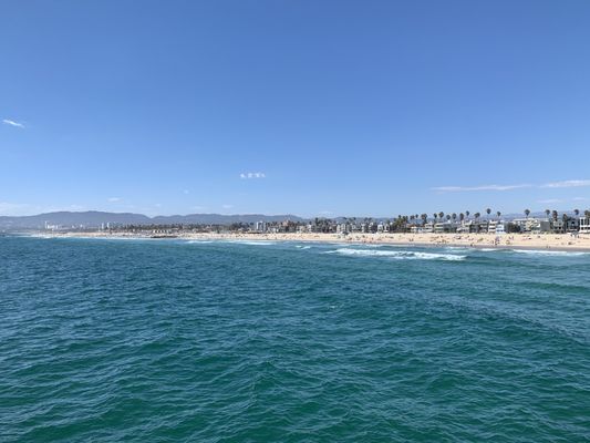 Venice Fishing Pier by null