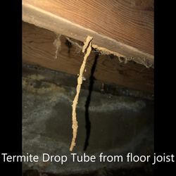 Placer Pest & Termite - Termite Drop Tube