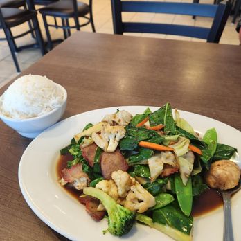 Zaab Thai - Mixed vegetables with bbq pork and rice. - Thai Near Me - Elgin, Illinois