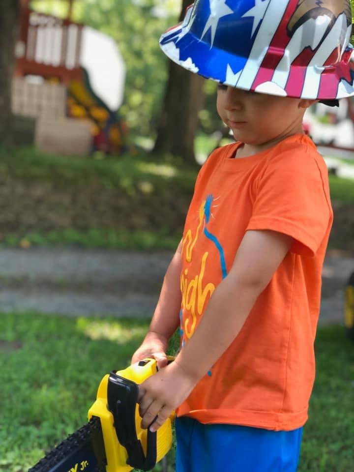 Schaal's Tree Service - tree service in Medina, NY