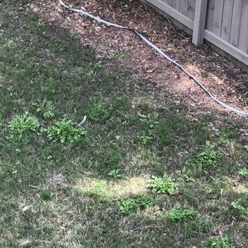 Arbor-Nomics Turf, Inc. Lawn Care Services & Grass Treatment - Weeds - Pest Control Near Me - Norcross, Georgia